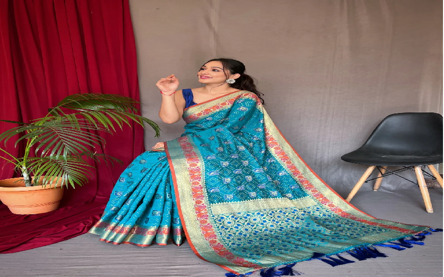 Beyond Bling: Embrace the Allure of Soft Silk Sarees