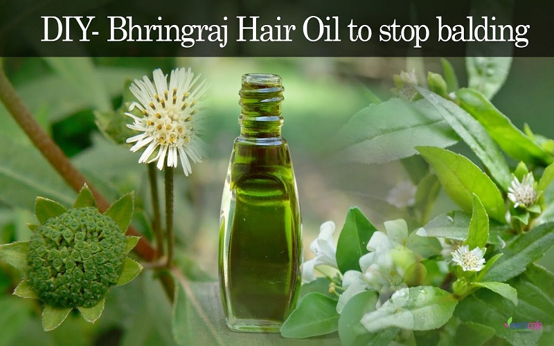 What Makes Bhringraj Hair Oil Best for Hair?